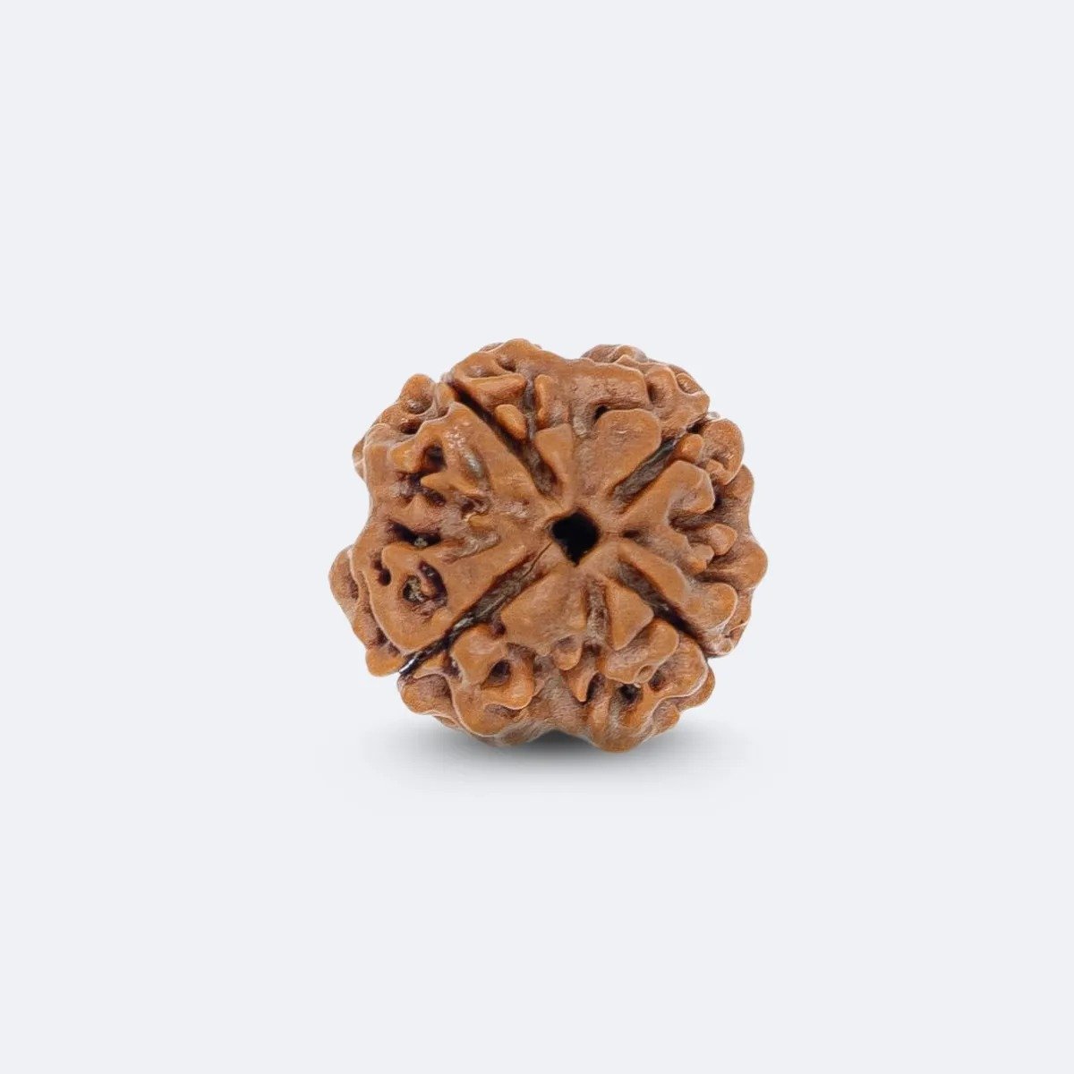 4 Mukhi Rudraksha (Four Faced) – Symbol of Knowledge, Wisdom & Clear Communication (indo)