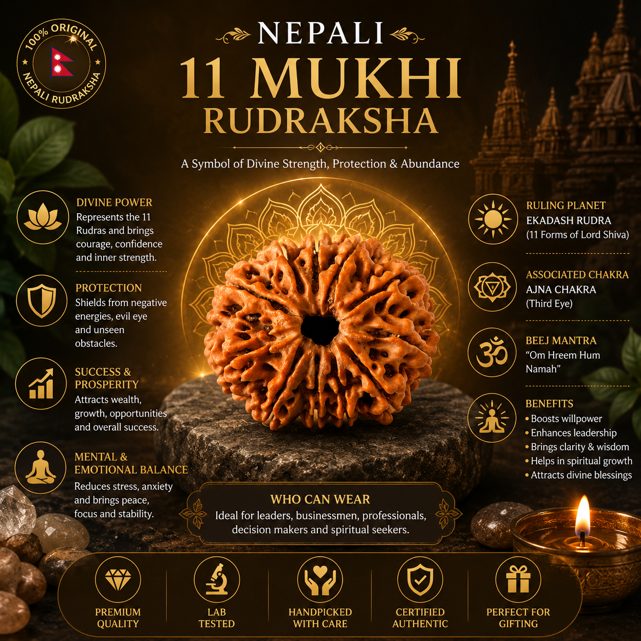 Nepali 11 Mukhi Rudraksha
