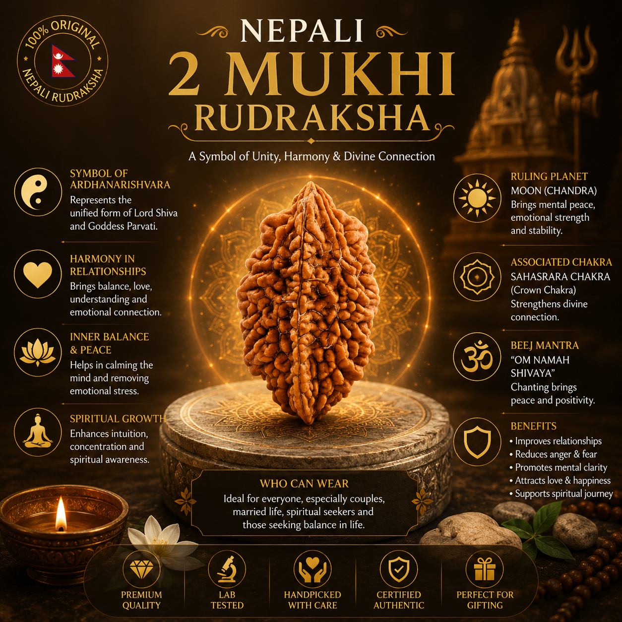 Nepali 2 Mukhi Rudraksha