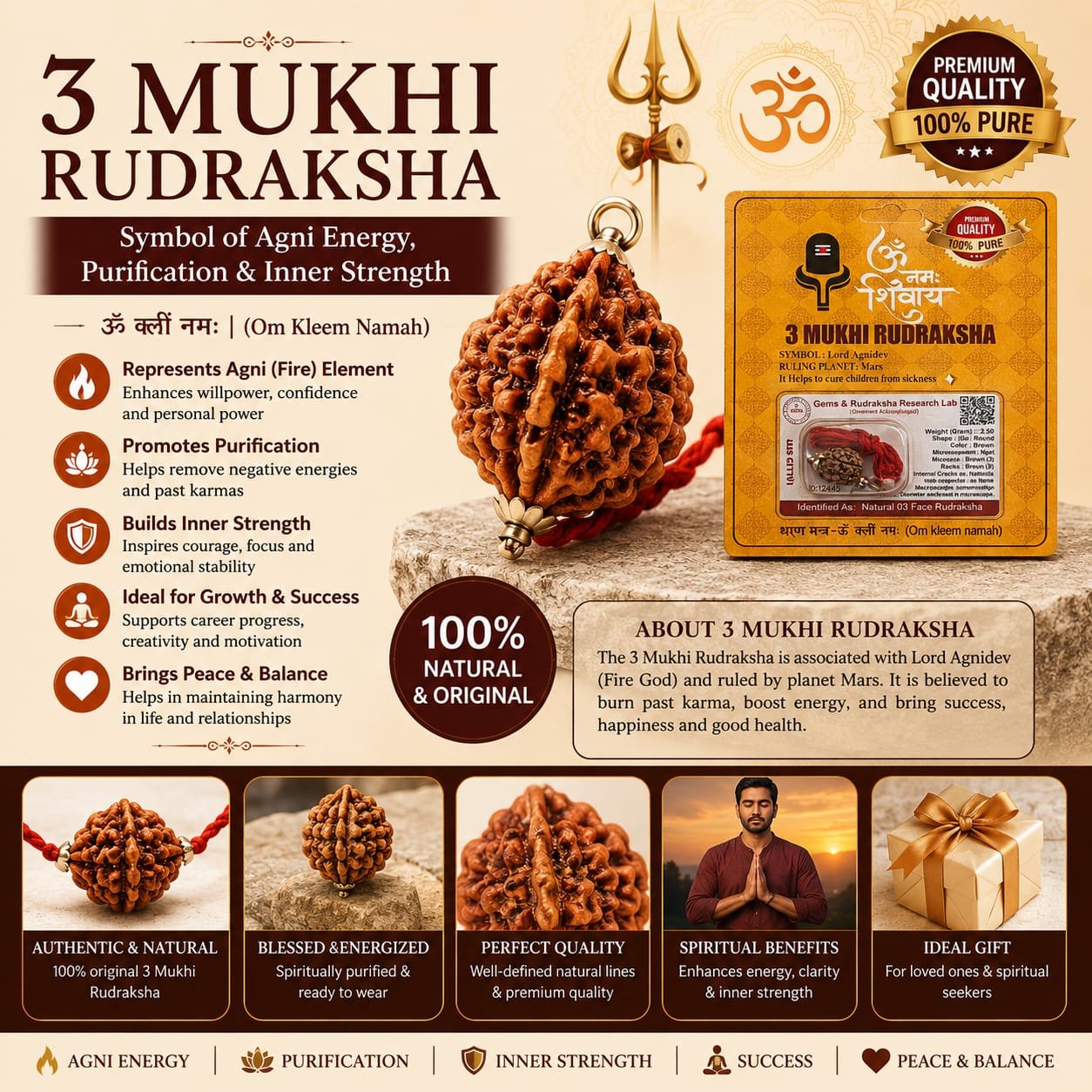 3 Mukhi Rudraksha (Three Faced) – Symbol of Agni Energy, Purification & Inner Strength (indo)