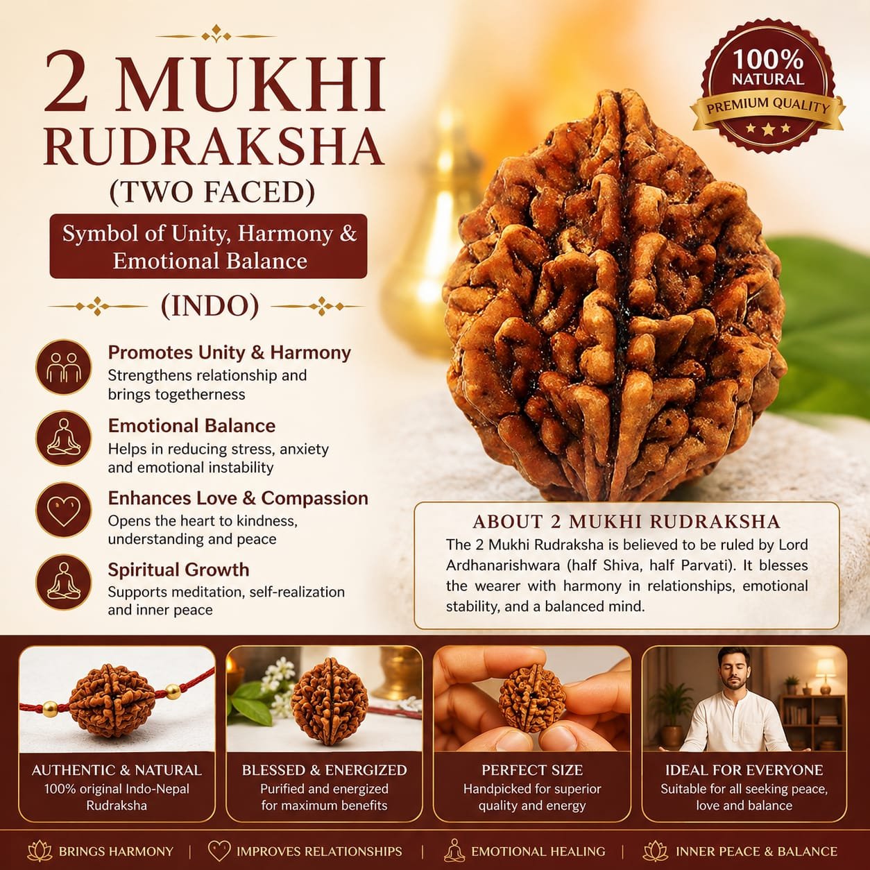 2 Mukhi Rudraksha (Two Faced) – Symbol of Unity, Harmony & Emotional Balance (indo)